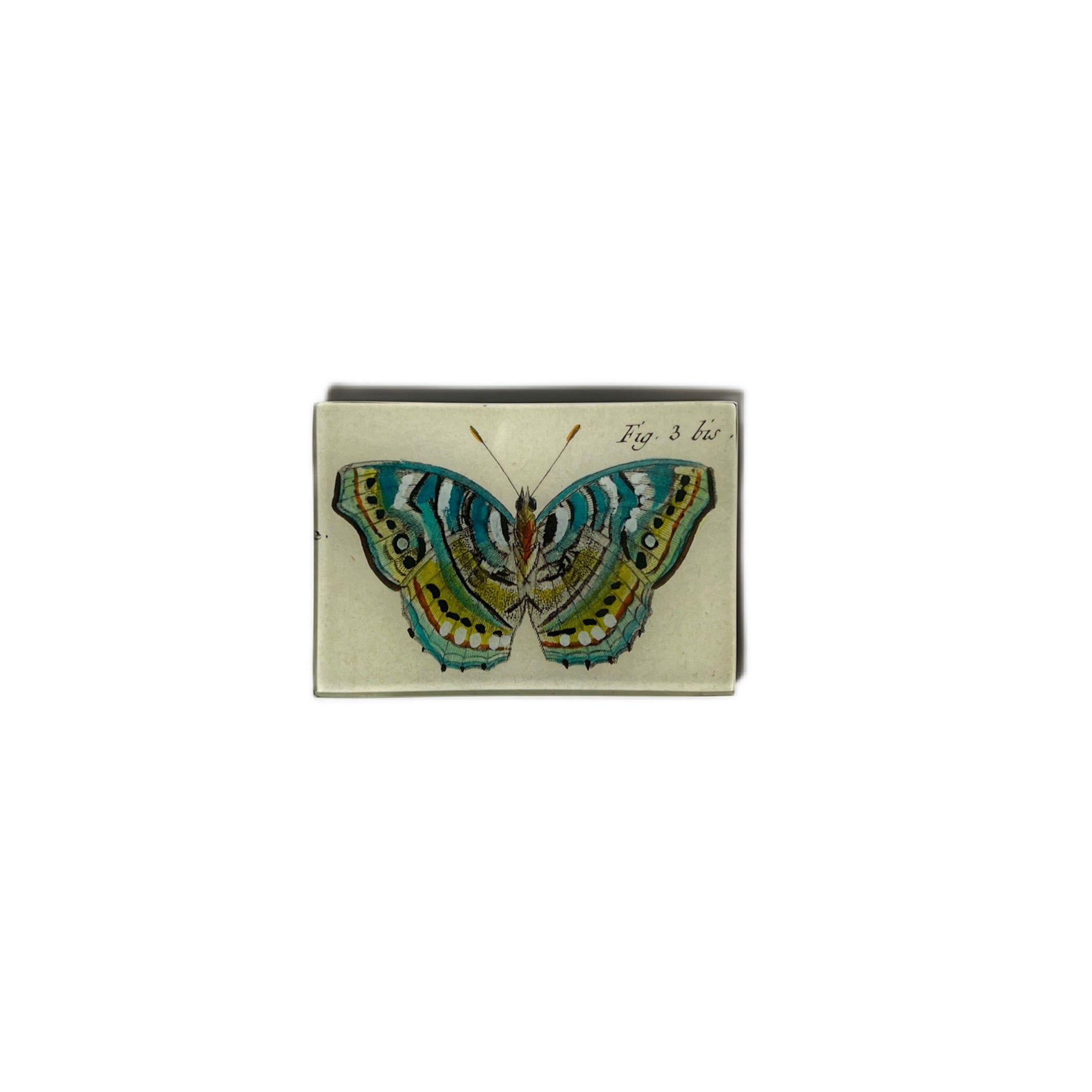 JOHN DERIAN】デコパージュプレート Blue Green Butterfly Fig. 3 bis