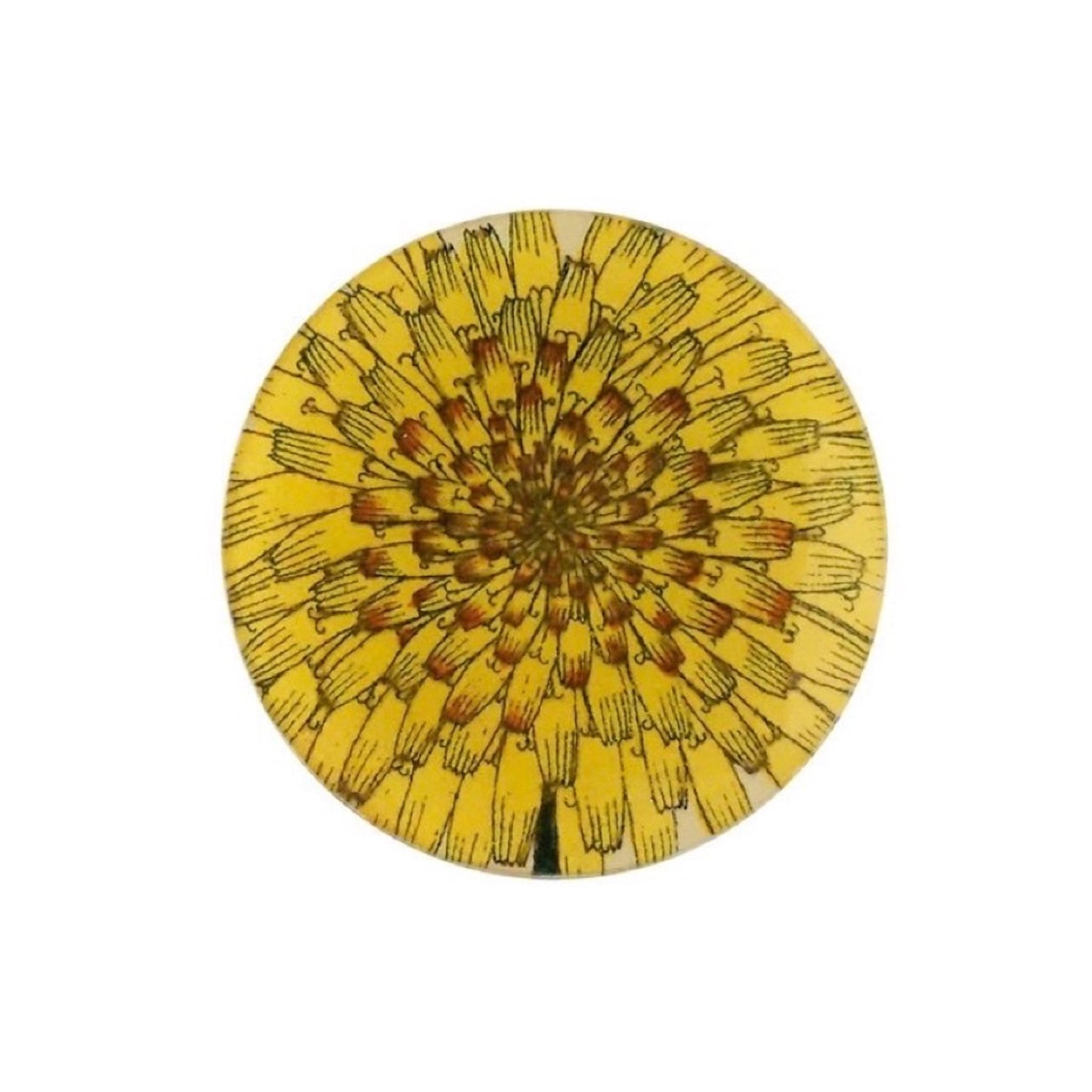 【JOHN DERIAN】デコパージュプレート Dandelion Flower/たんぽぽ
