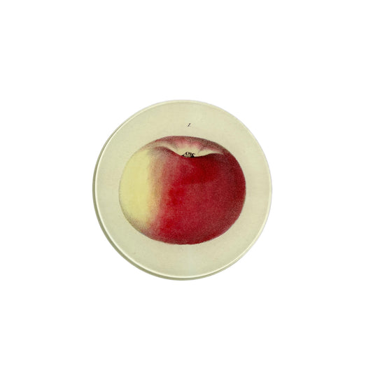 【JOHN DERIAN】デコパージュプレート Lady Apple 1