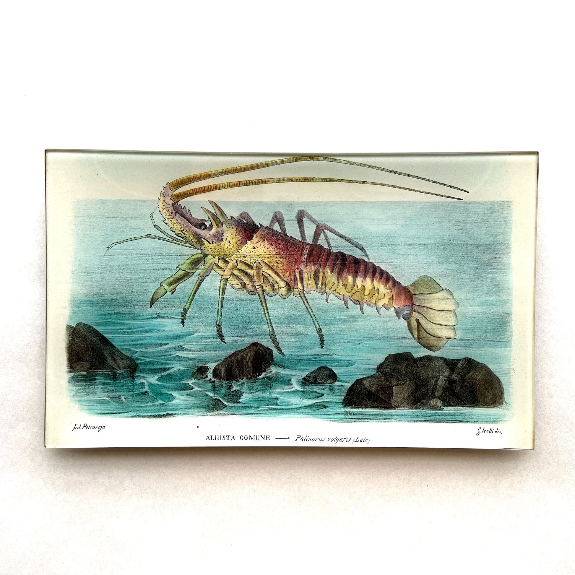 【JOHN DERIAN】デコパージュプレート Lobster