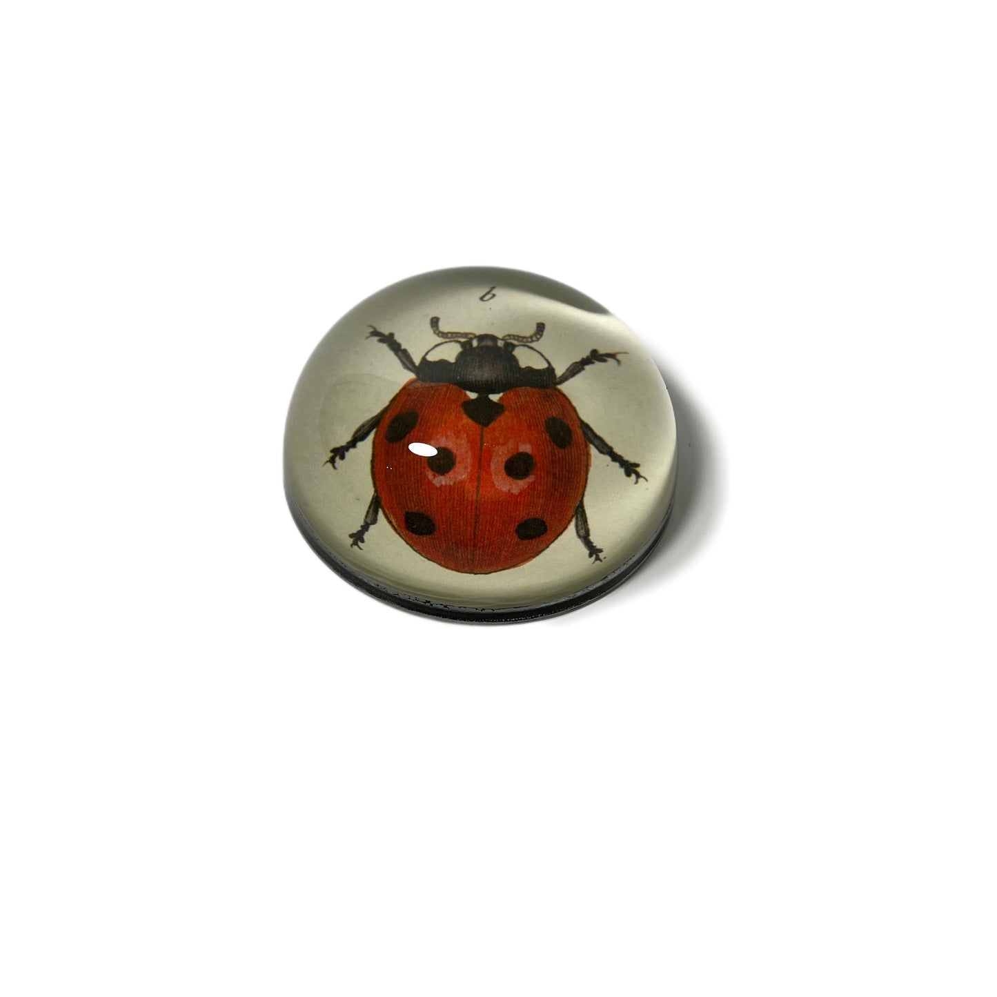 【JOHN DERIAN】デコパージュペーパーウェイト Red Ladybug