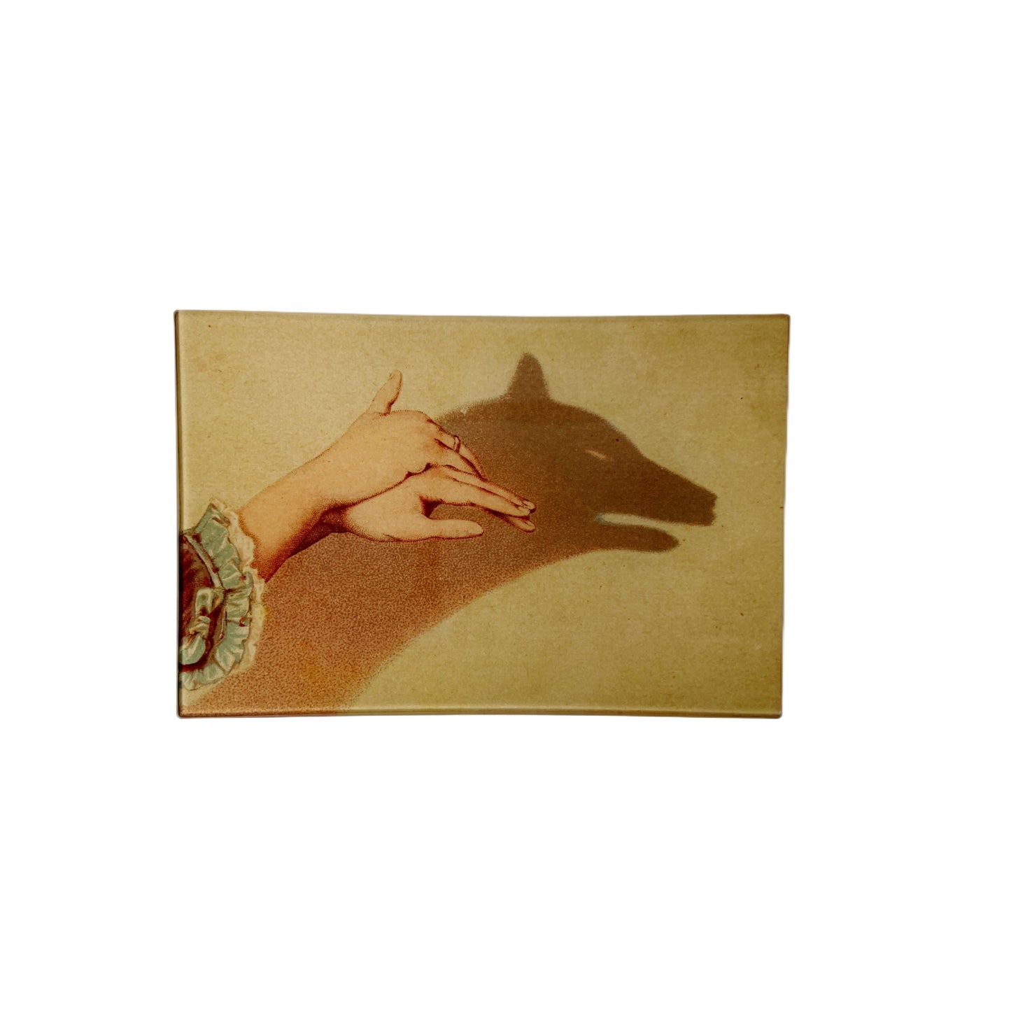 【JOHN DERIAN】デコパージュプレート Wolf Shadow Puppet