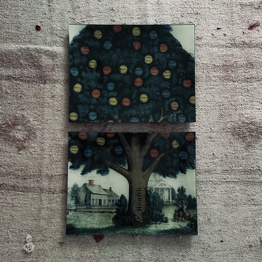 【JOHN DERIAN】デコパージュプレート TREE OF TEMPERANCE (P 56)