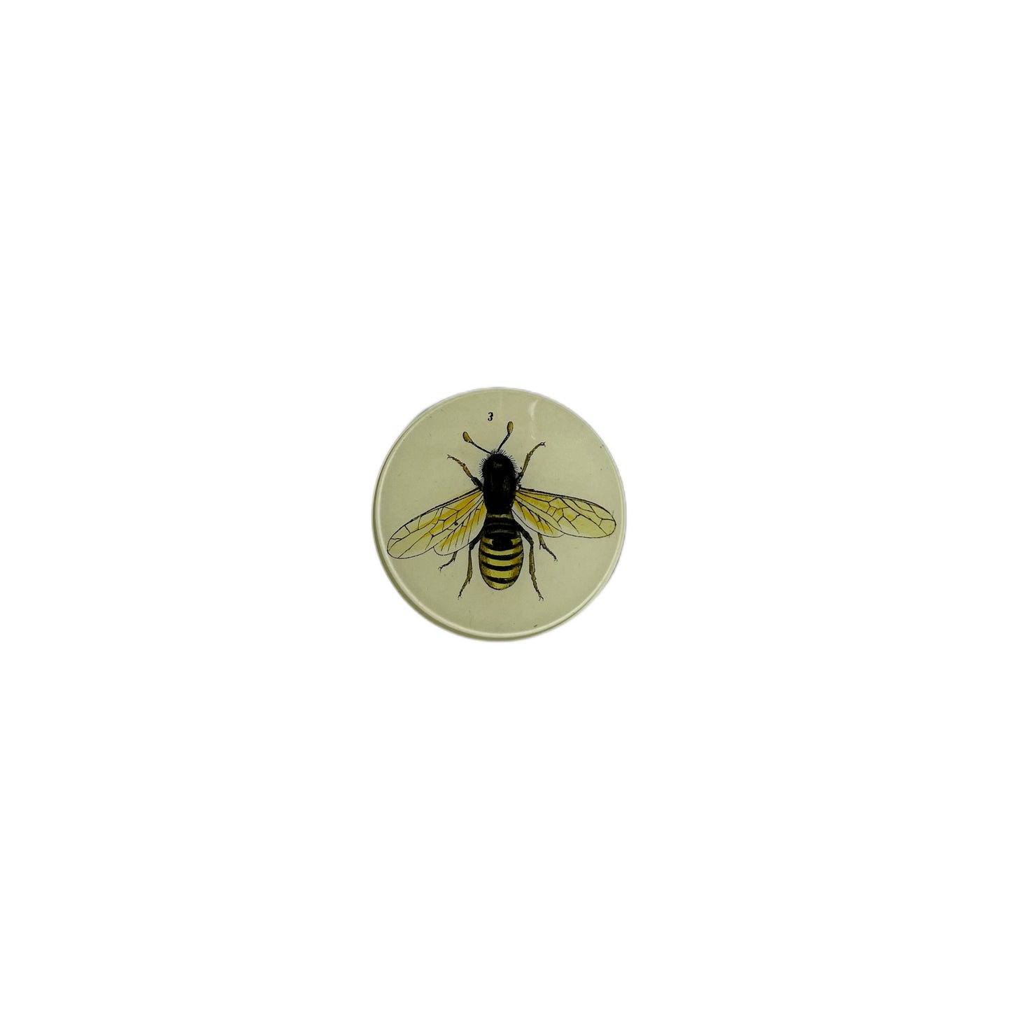 【JOHN DERIAN】デコパージュプレート Bee 3