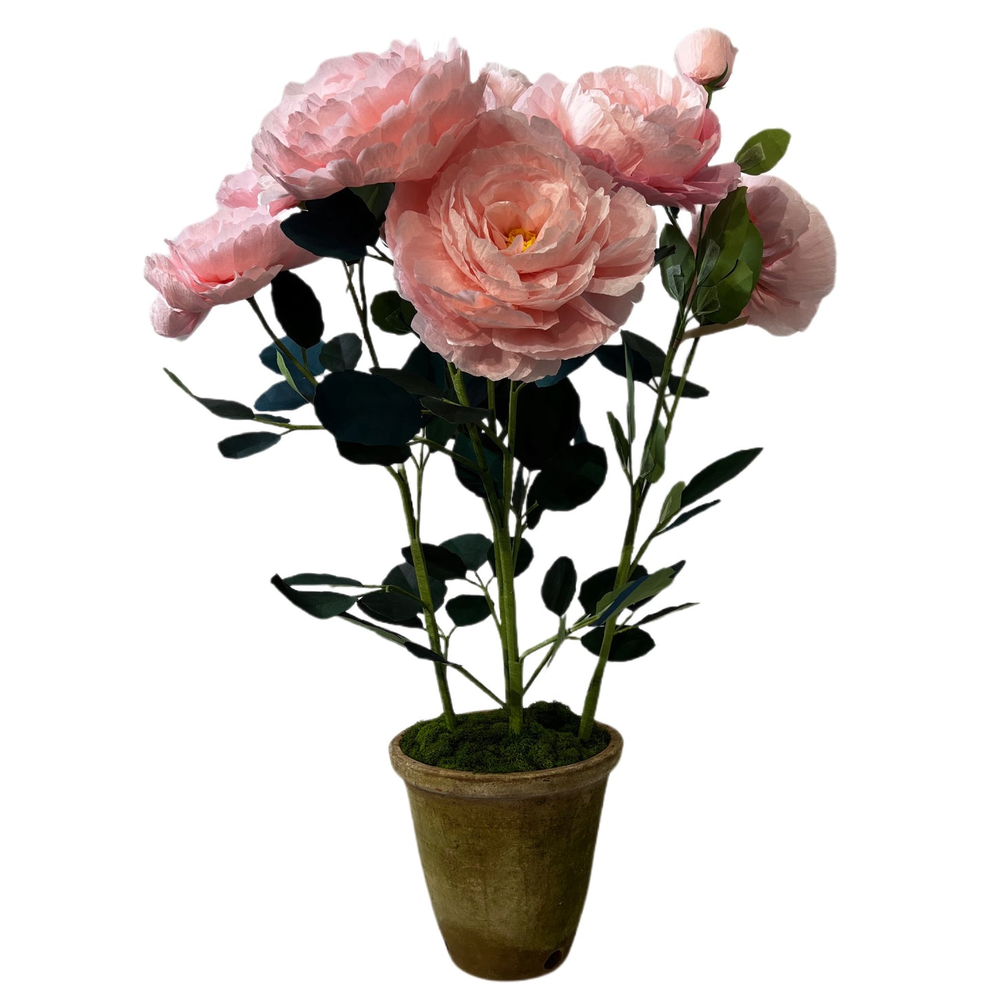 SPECIAL PRICE 【LIVIA CETTI】フロリバンダローズ soft pink