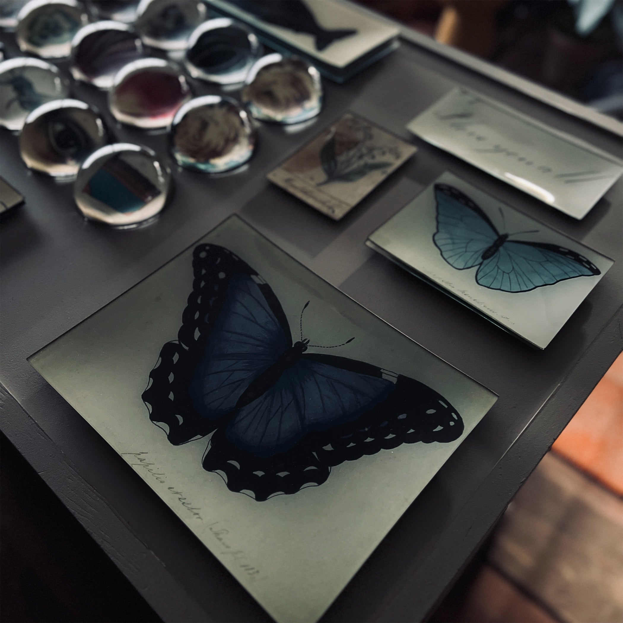 JOHN DERIAN】デコパージュプレート Blue Butterfly | フィールシーン