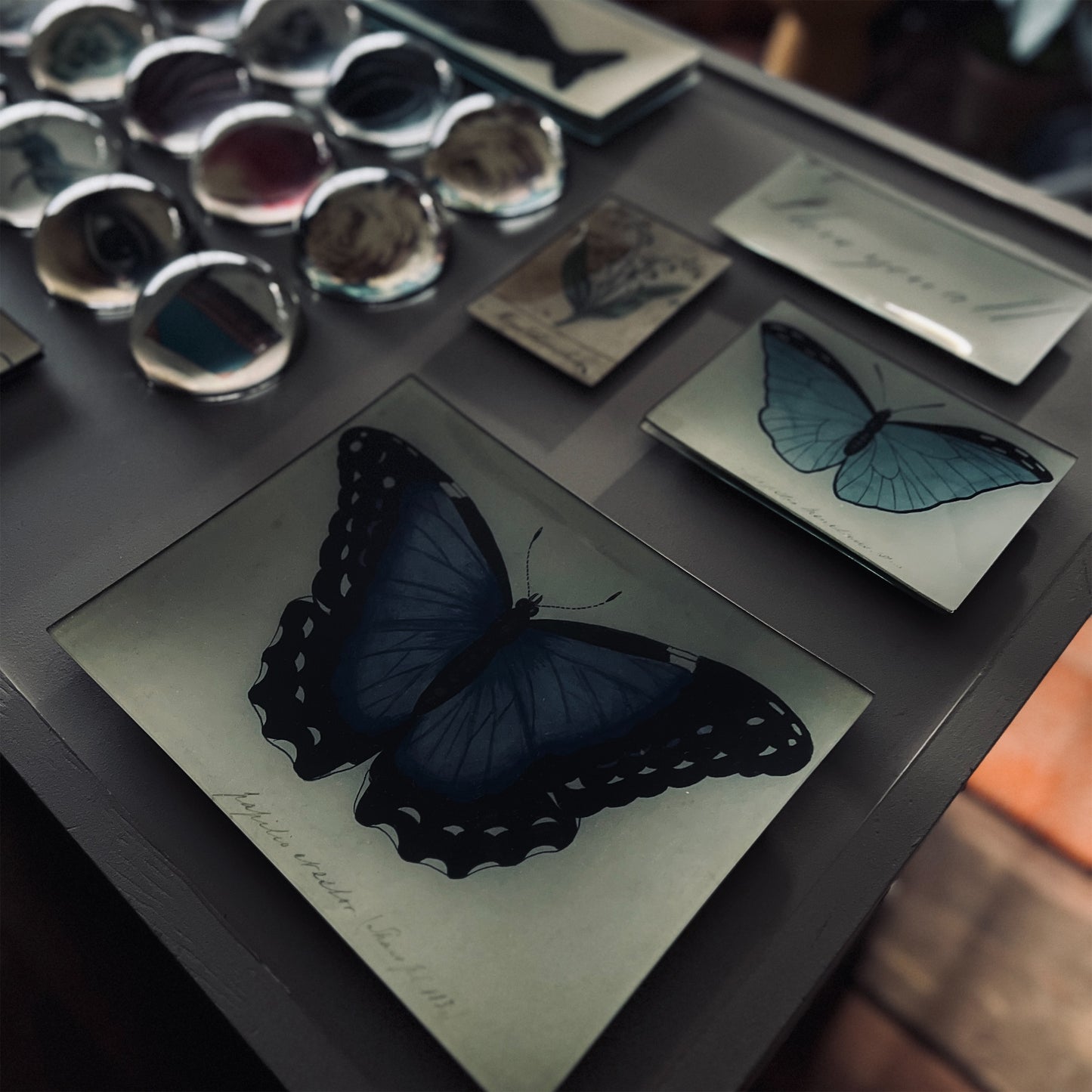 【JOHN DERIAN】デコパージュプレート Blue Butterfly