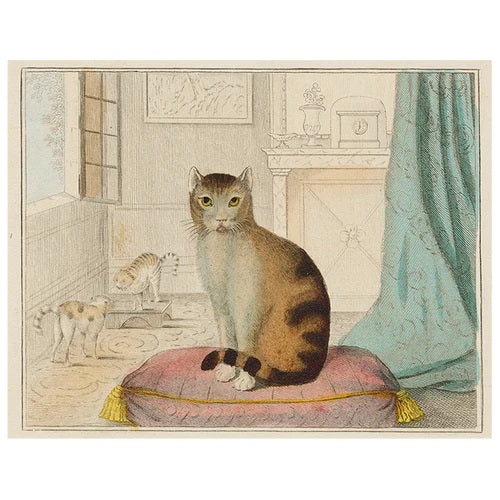 【JOHN DERIAN】デコパージュプレート Calm Cat (P69)/ 澄まし猫