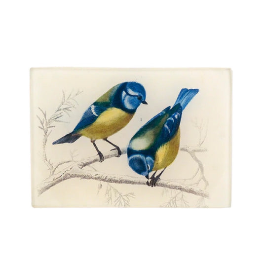 【JOHN DERIAN】デコパージュプレート Yellow-Breasted Blue Tit/森の鳥 青いチット