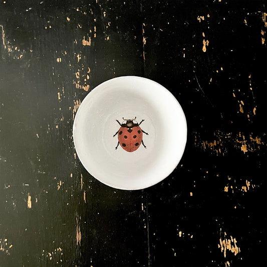 【Astier de Villatte】Ladybug スーププレート