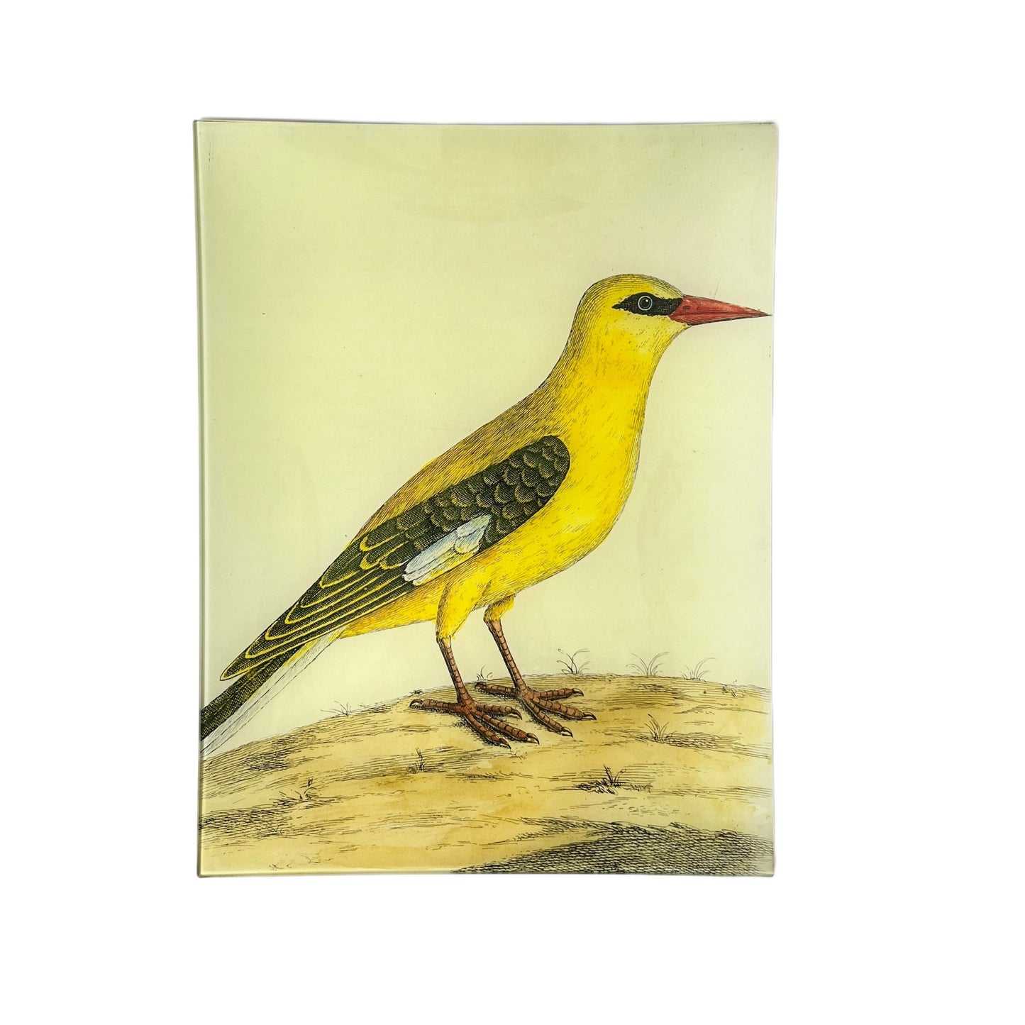 【JOHN DERIAN】デコパージュプレート #20 - Bengali Yellow Bird