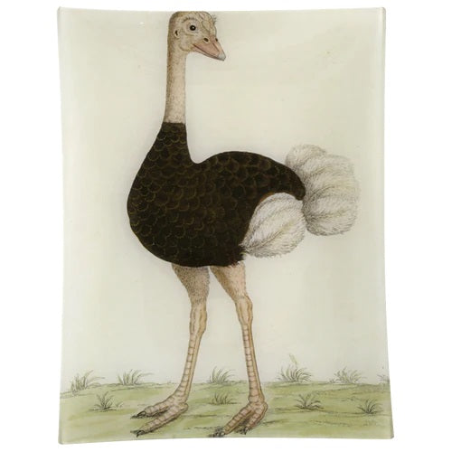 【JOHN DERIAN】デコパージュプレート #24 - Ostrich