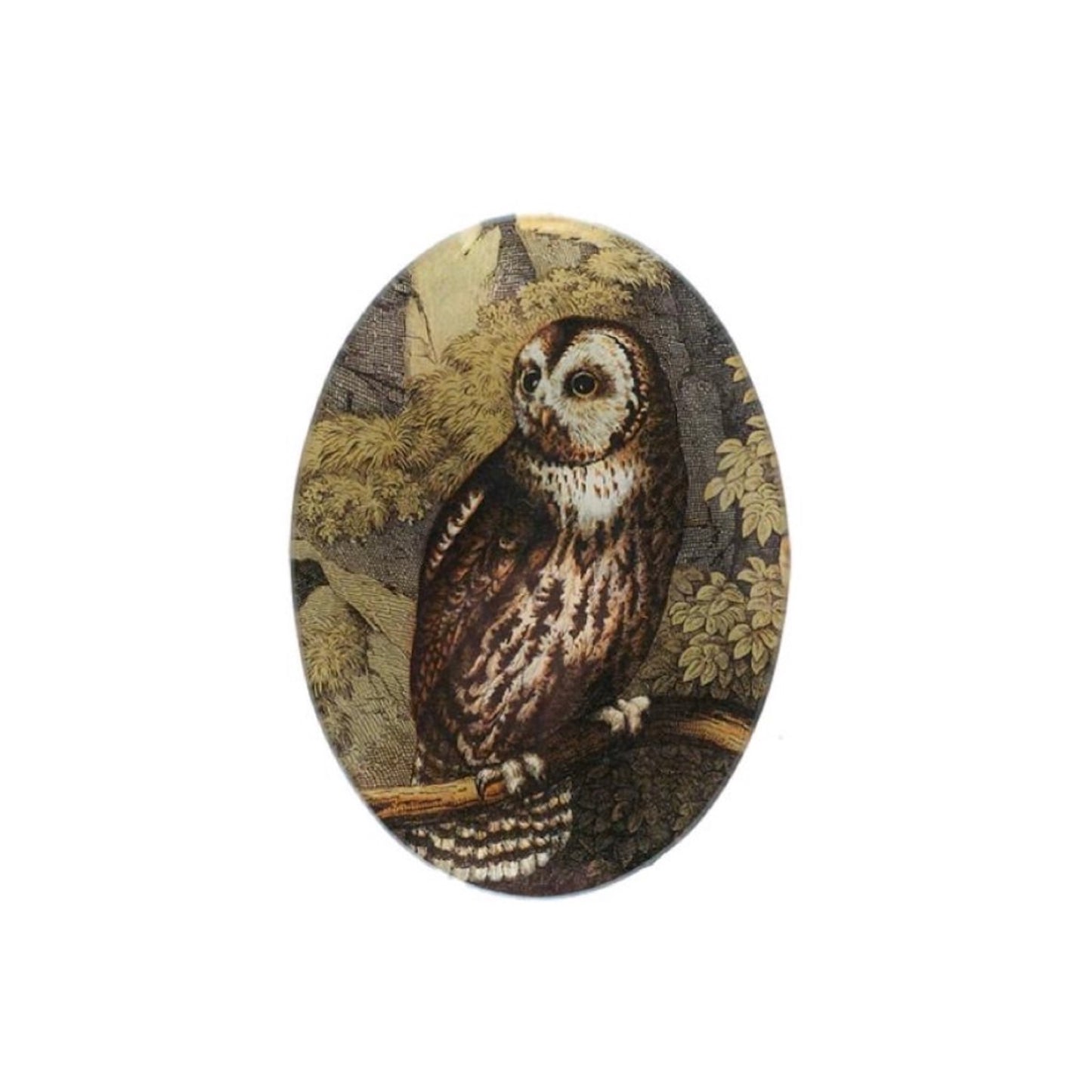 【JOHN DERIAN】デコパージュプレート Small Owl/小さなフクロウ